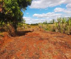 Farm for sale in Maungani