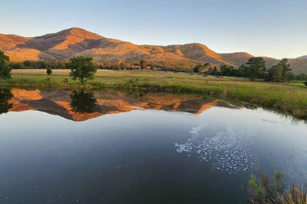 This lovely property needs no introduction as it’s well known and well-loved as a holiday destination.
The farm is 45. 57 Ha in size ...