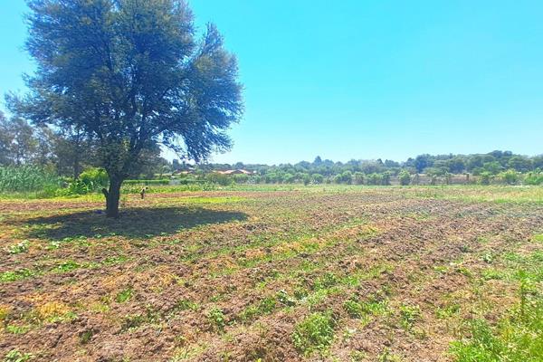 Prime One-Hectare Plot in Mnandi for Sale! 
NEGOTIABLE TO SERIOUS BUYERS 
Seize this ...