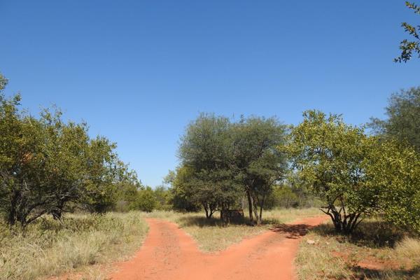 Vacant land. FROM R460 000 to R750 000

Come home to your own piece of bushveld ...