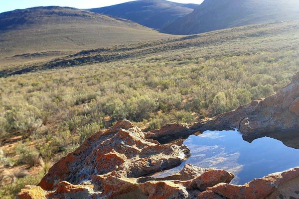 This picturesque 200-hectare piece of undisturbed land is situated near the Vleiland Valley, between the Klein Swartberg Mountains and ...