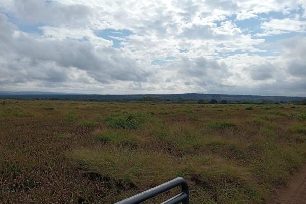 Farm for sale in kwahluhluwe  , the farm does not include the livestock 