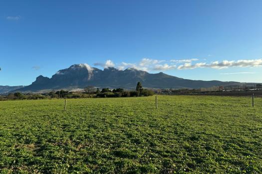 Farm for sale in Paarl South