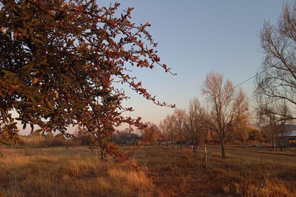 This vacant stand is the blank canvas on which you can create the rural future you have always envisioned. It is situated in Rosendal ...