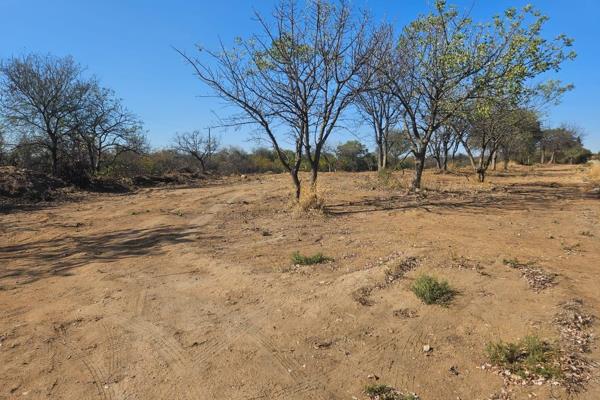 A new development stand is available for sale in Phalaborwa, measuring 600 square meters with municipal services provided. This full ...