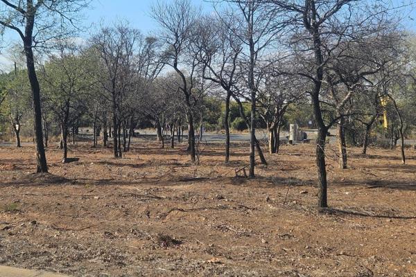 This stand for sale in a new development in Phalaborwa measures 600 square meters and includes municipal services. It offers full title ...