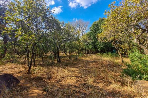 This stunning stand features large bushveld trees and is well located in the estate. The stand is bordering Moholoholo where you’re ...