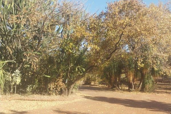 Embrace the extraordinary opportunity to own 23 hectares of pristine vacant land in the heart of Dinokeng Big 5 Game Reserve. This ...