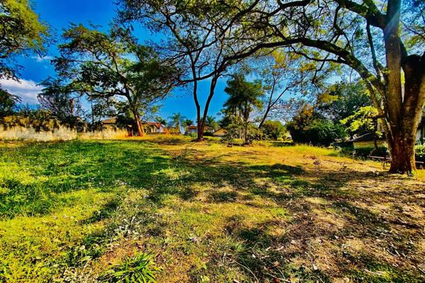 The perfect stand with a spectacular view of the Letaba River.!!!
Measuring 4149m&#178; stand in Tzangeni Estate.

Located on the ...