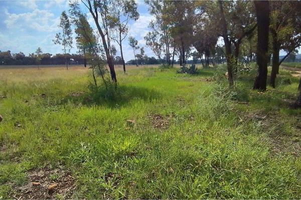 Vacant Land For Sale in Valley Settlements
This very affordable 2.4ha agricultural flat land surrounded by other small holdings and ...