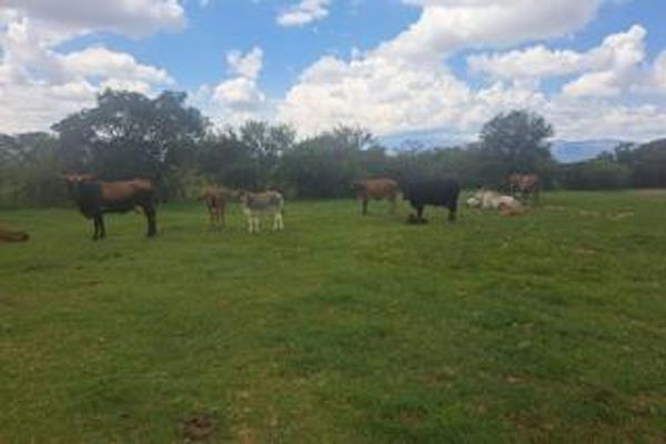 For years, this farm has been the pride of its current owner. Now, due to old age, the owner is selling this valuable ...