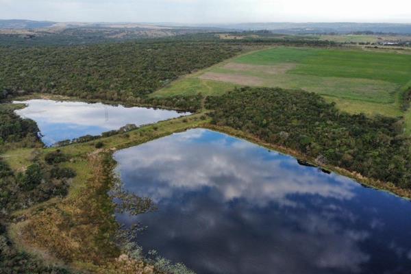 This high carrying capacity irrigation farm, 450 Hectares in extent, with approximately 50+ ha under irrigation, 100 hectares of dry ...