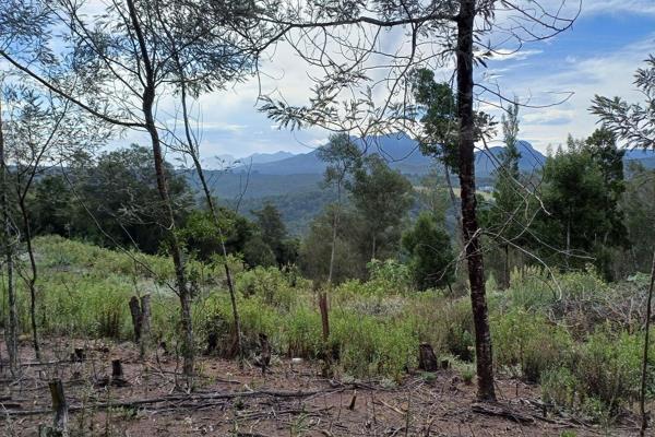 The property for sale is a 4ha smallholding in Wilderness Heights. Permits have been ...