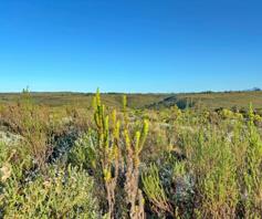 Vacant Land / Plot for sale in Gondwana Game Reserve