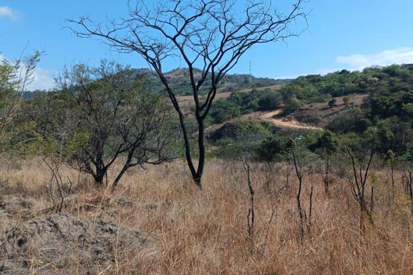 Just 12km from Nelspruit, this stunning vacant land stand is located in a beautiful 24-hectare private nature estate. Don&#39;t miss ...