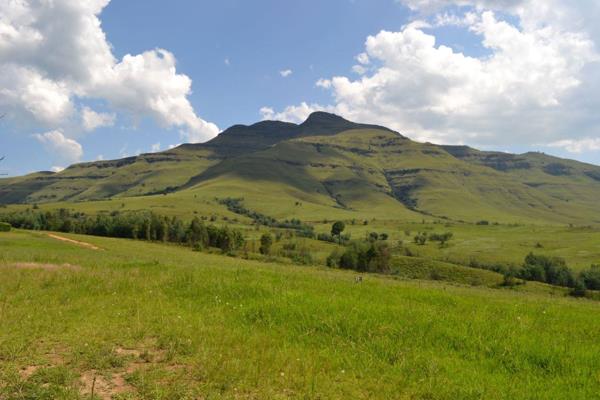 Farm for Sale - Bulwer 

This 97-hectare farm is nestled amidst rolling hills and offers stunning grazing space, a dam, and timber ...