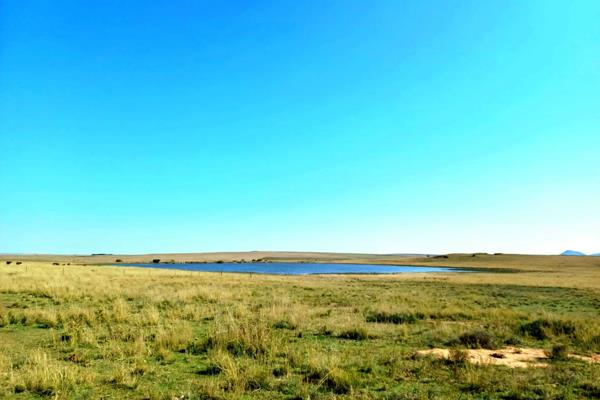 If livestock farming is your passion, this is the perfect farm for you. Located in the heart of the cattle mecca of the Free State ...