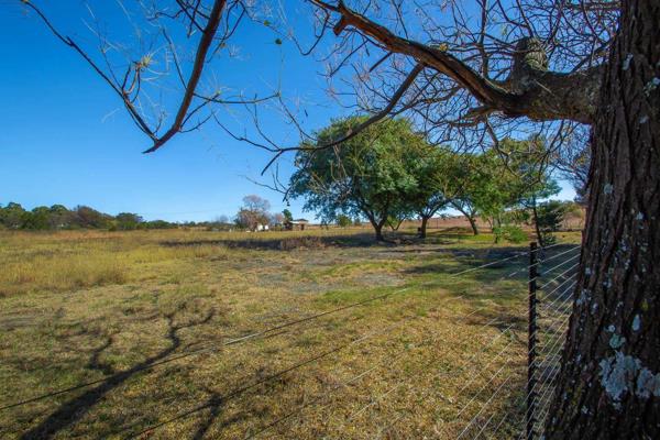 Located in the Cradle of Humankind, nestled on a quiet street in Kromdraai, you have ...