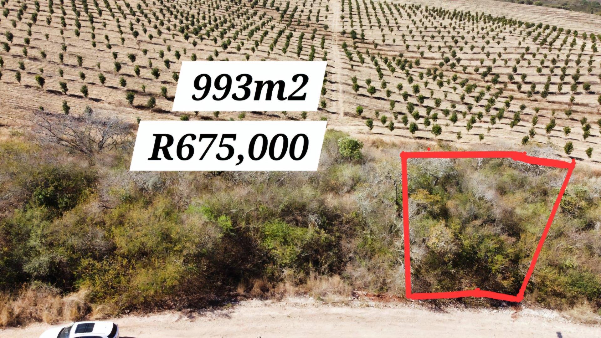 Vacant land / plot for sale in Louis Trichardt - P24-114653711