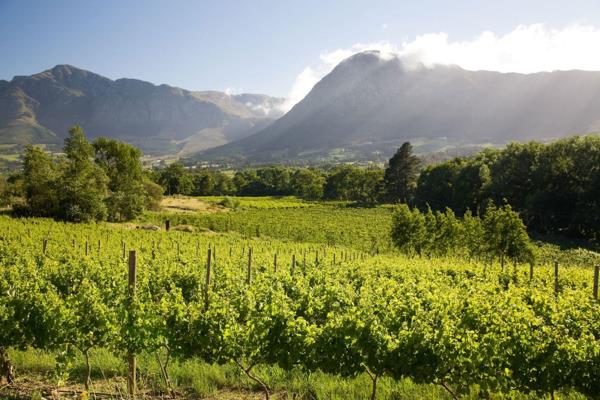 EXCLUSIVE MANDATE: Rarely does an opportunity to purchase what is arguably the best-situated wine estate in the Franschhoek Valley come ...