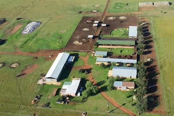 AUCTION:
Saturday 24 August 2024 at 10:00 on the Farm Elandsvalley Dist Bronkhorstspruit

- Plase - 10:00
- Brahmane - 10:30
- ...