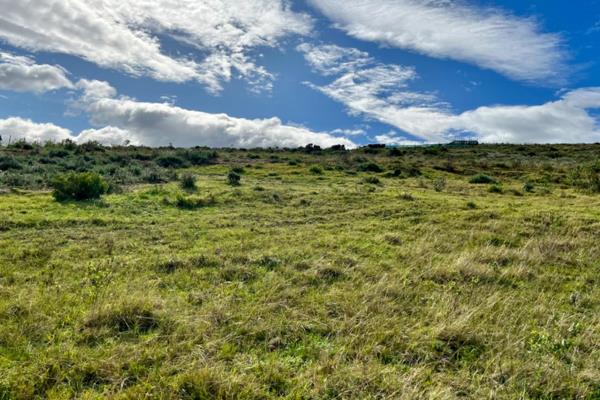 This estate will give you all the reasons to buy land and be part of this Wildlife Estate.The layout of this estate exceeds every ...