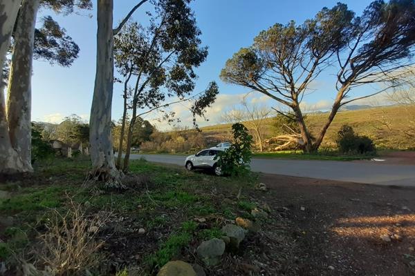 Just outside of town lies this beautiful ONE HECTARE  vacant land with the  Swannies River next to it.
Lots of potential to put up ...