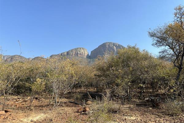 This stand is located at the Mid slopes of the Northern Drakensberg Mountain and on Canyon Game Reserve. Build your dream home on this ...