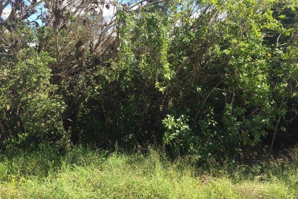 This vacant plot is situated in Aston Bay and a short distance from the beach and lagoon.

It is in a good and quiet area of the suburb ...