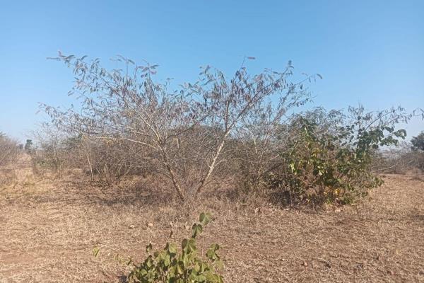 2 hectares farm is for sale. It is situated in Dididi Block 8 Elexander. It is only 8.4 km (18 min) away from Thohoyandou CBD. The land ...