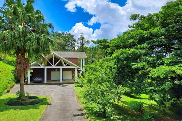 On top of a hill in a quiet, upmarket suburb, stands this home overlooking PMB. With majestic pillars that lift the roof&#39;s pitch ...