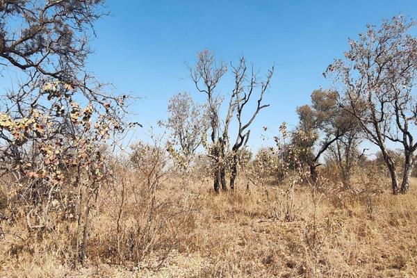 This 11,7ha undeveloped small holding is situated in the heart of the bushveld being &#177;55km from Bela Bela on the R516 towards ...