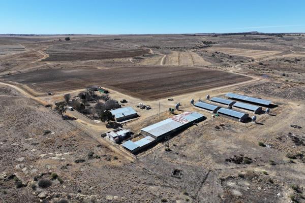 Onsite Auction - Farm Tygerkloof

502ha Sheep/Pig Farm
Drylands

Contact us for more information!