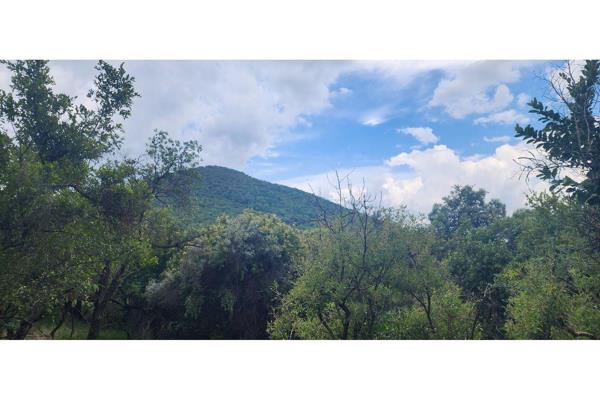 Discover Your Own Slice of African Paradise!
Nestled in the heart of the breath taking Waterberg region, this vacant land near ...