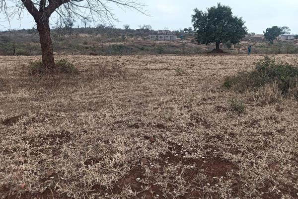 1 hectare farm is for sale. It is situated in Dididi Thohoyandou Block 8 Elexander. It is only 8.4 km (18 min) away from Thohoyandou ...