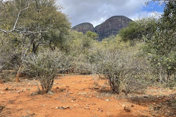 This stand in Canyon Game Reserve is located at the lower slopes of the Northern Drakensberg Mountain and on a flat area with excellent ...