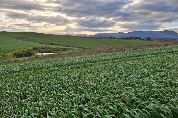 This 89,3160 Ha livestock/grain farm is situated 4 km west of Riversdale. It is in the sought after Hessequa district, also known as ...