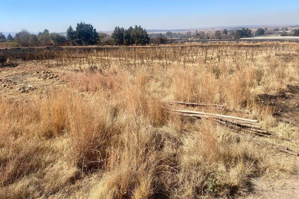 Vacant  land 1.0 Ha of agricultural land for sale. Located on the Kromdraai plots 6 Km from eMalahleni on the old Middelburg Road. ...