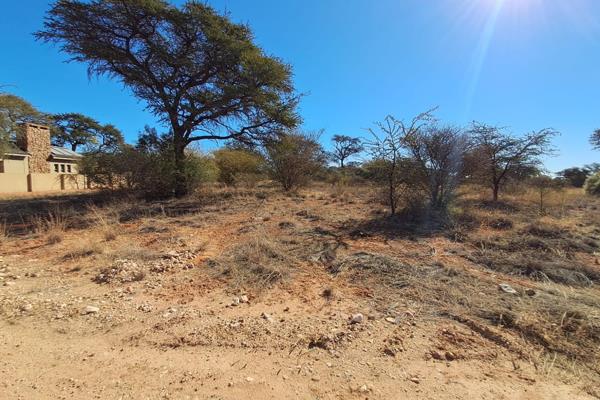 Vacant Land for Sale on Exclusive Golf Estate

Located in the heart of the prestigious Kalahari Golf and Hunting Estate, offering ...