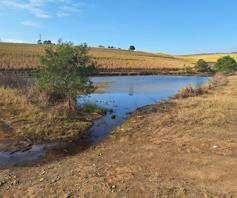 Farm for sale in Umlaas