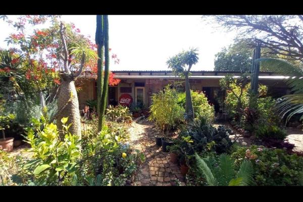 Beautiful Guesthouse Farm in Kameeldrift East
Honeymoon suite with kitchen,Lounge and En-suite bathroom. Main house have 3 bedrooms ...