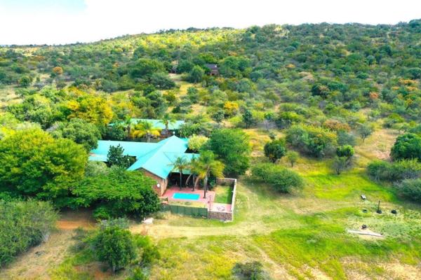 ESCAPE TO TRANQUILITY- A SPECTACULAR 21-HECTARE FARM IN MODIMOLI&#39;S WATERBERG REGION

Nestled within the scenic beauty of the ...