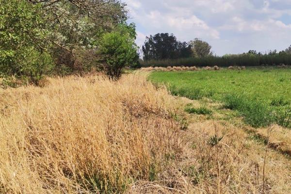 This lovely Plot is for sale and it is great for cultivation of most crops. Great Green field right round and more.
Leave your contact ...