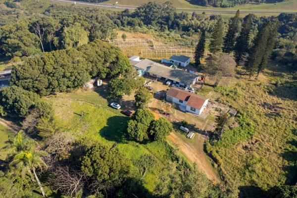 Explore the limitless possibilities with this expansive 34,094 m&#178; farm, currently flourishing with a cutting-edge hydroponic ...