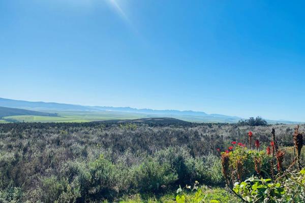 EXCLUSIVE SOLE MANDATE - Welcome to a truly unique opportunity to own a piece of paradise in the renowned &quot;Hemel en Aarde&quot; ...