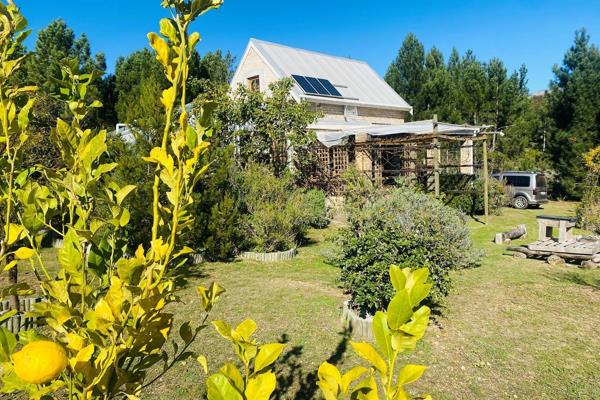 EXCLUSIVE SOLE MANDATE - Welcome to a truly unique opportunity to own a piece of paradise in the renowned &quot;Hemel en Aarde&quot; ...