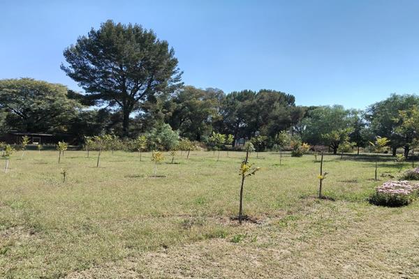 Sounds like quite the property! With 70 Pecan trees, this 0.880 hectare has a functioning borehole, and a cottage that needs TLC. ...