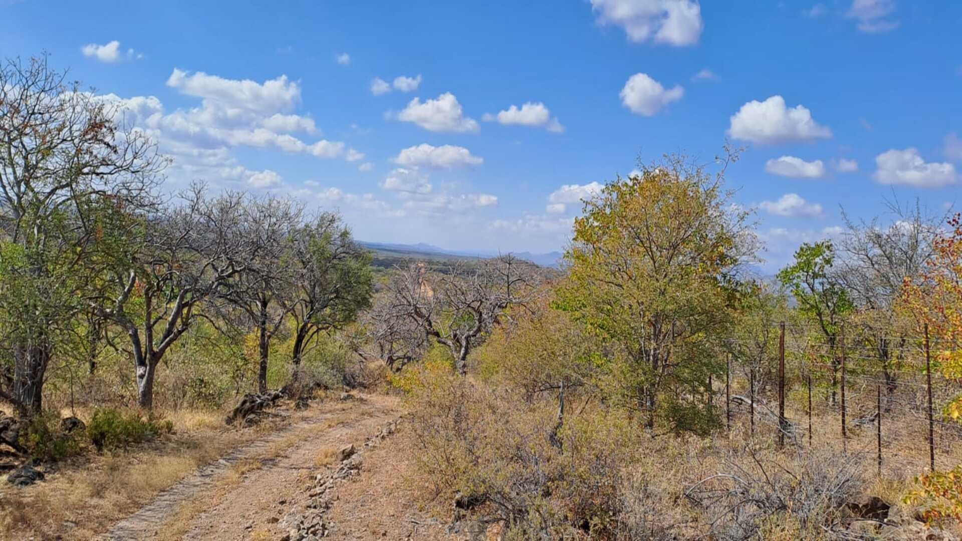 Farm for sale in Louis Trichardt - P24-114708461