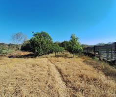 Farm for sale in Nelspruit Central