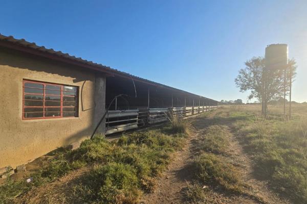 This property offers recently erected facilities for pig farming.
30 maternity cages each with a water point.
Electricity connection ...